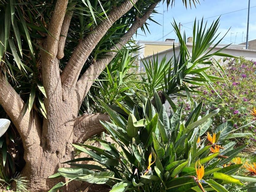 شقة Giardino A Mare باري المظهر الخارجي الصورة