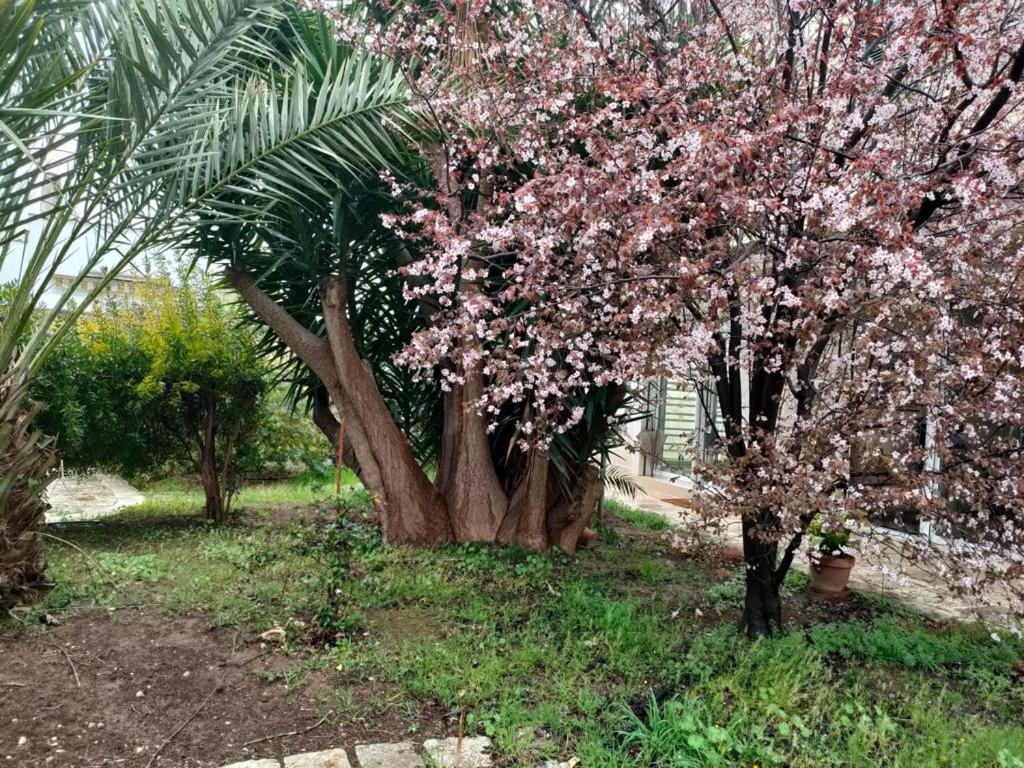 شقة Giardino A Mare باري المظهر الخارجي الصورة
