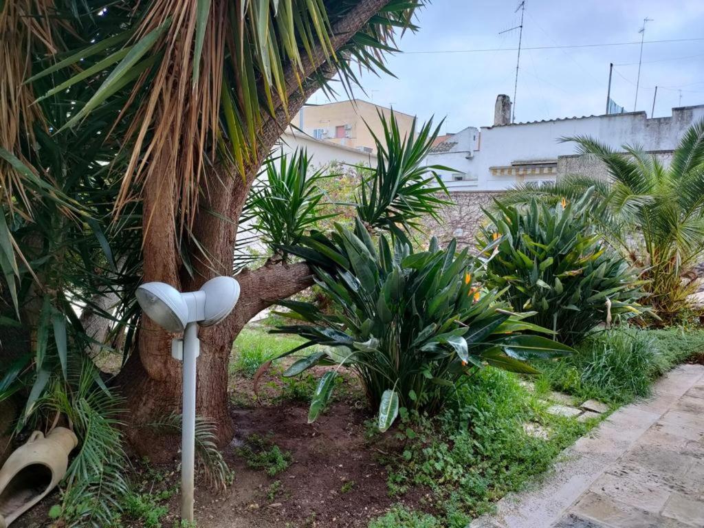 شقة Giardino A Mare باري المظهر الخارجي الصورة